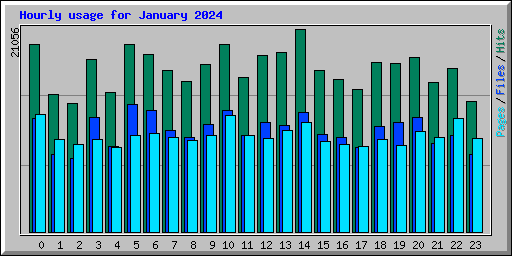 Usage Statistics For Ellatinodigital Com January 2024   Hourly Usage 202401 