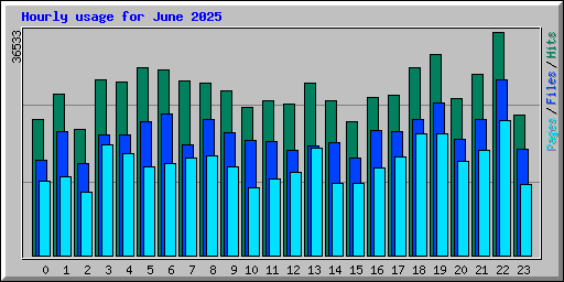 Hourly usage for June 2025