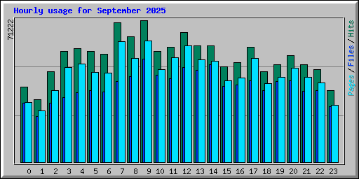 Hourly usage for September 2025