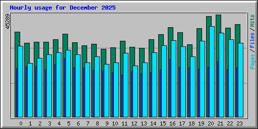 Hourly usage for December 2025